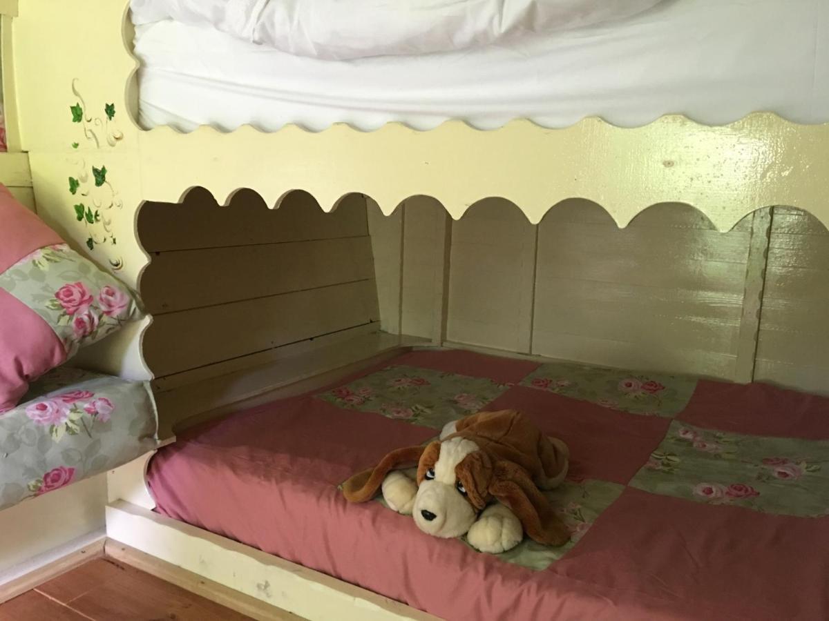 Fernwood Panzió Ringwood Kültér fotó