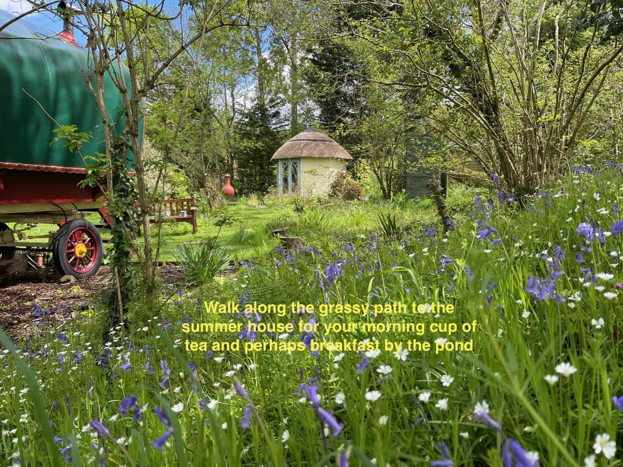 Fernwood Panzió Ringwood Kültér fotó