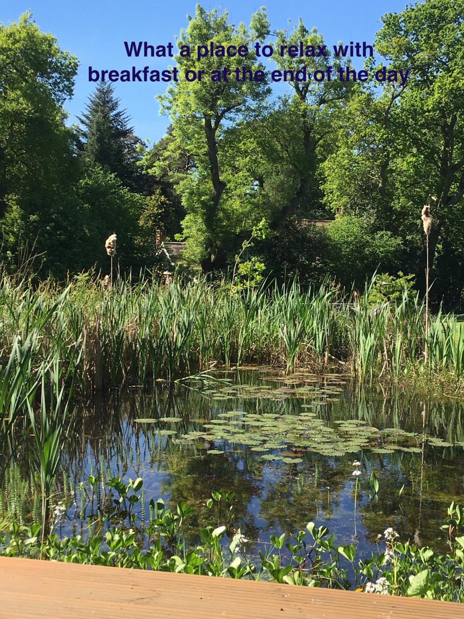 Fernwood Panzió Ringwood Kültér fotó